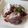 クック19BUWW☆'s cooksnap of when they made お手軽♪レンジでチョコレートケーキ.