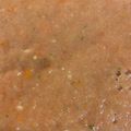 もものすけのまま's cooksnap of when they made 火を使わない冷たいスープ！ガスパチョ.
