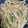 手抜きクック's cooksnap of when they made 簡単＊ピーマンともやしの小鉢.