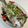 クックJ4TZ3E☆'s cooksnap of when they made 電鍋で【蒸し魚・清蒸魚】.