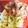 67luna's cooksnap of when they made ふっくら鮭とふんわり卵の♡三色そぼろ丼.