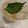 オペル's cooksnap of when they made 健康 青しそジュース.