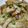 クック6DDPP8☆'s cooksnap of when they made 美味いよ!鶏の味噌マヨ炒め★.