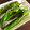※ぴーまん's cooksnap of when they made 男の簡単おつまみ☆万願寺ししとう.