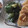 きらり流れ星's cooksnap of when they made 簡単！きゅうりの浅漬け黒胡椒.