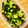 それいゆ★'s cooksnap of when they made 簡単！きゅうり一本漬け／夏の旬野菜.