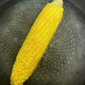 ゆみしゅー's cooksnap of when they made とうもろこし 解凍法(覚書).