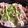 mariamiyo's cooksnap of when they made かんたんお昼に☆豚しゃぶ丼.