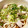 huu_ka's cooksnap of when they made さっぱり♫蒸し鶏の梅つゆ冷やしうどん.