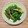 コムギ大好き's cooksnap of when they made 簡単☆ピーマンのおかか炒め.