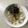 Ruriluru's cooksnap of when they made たくあん＆干しエビご飯.