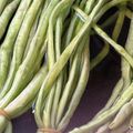 ささッこ's cooksnap of when they made おばあちゃんの十六ささげの茹で方.