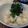 ☆baobab☆'s cooksnap of when they made 沖縄の夏の定番！モーウィ(赤瓜) サラダ.