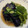 ☆すぬぴっぴ☆'s cooksnap of when they made めんつゆで簡単！激ウマ♡なすの揚げ浸し.