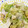 ♪ミチル♪'s cooksnap of when they made レタスの中華風おひたし.