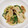 しーくれっと・らいふ's cooksnap of when they made 水菜と豚肉ですき焼き風☆お弁当のおかず♪.