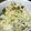 クックEDF90B☆'s cooksnap of when they made ｢超簡単｣ オレオクッキーアイス.