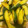 クックLZ7E8G☆'s cooksnap of when they made きゅうりのオイスター炒め.