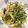 るなな◎'s cooksnap of when they made 麺つゆだけで！豆苗の煮浸し.