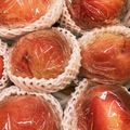 horseland's cooksnap of when they made 桃の保存方法 ☆つくレポ100人感謝☆.