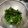 kyochan616's cooksnap of when they made 調味料いらず！ピーマンの塩昆布和え.