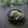 まろんかふぇ's cooksnap of when they made みょうが・しらす・オクラの白だし和え❀.