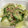 くっくあんず's cooksnap of when they made ★簡単まろやか&やみつきゴーヤ★.