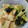 松潤LOVE♥️♥️'s cooksnap of when they made 白だしde厚揚げと小松菜のさっと煮.