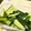 kbmm's cooksnap of when they made ☆うま塩きゅうり☆（和風）.