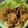 エミシュウナ's cooksnap of when they made ☆中国料理店の鶏の唐揚げ（プロ直伝！）.