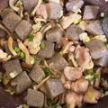 yasu_ha's cooksnap of when they made ■鶏肉＆こんにゃくのねぎ塩だれ炒め■.