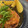 rug7's cooksnap of when they made 簡単和風ハンバーグ★おろしソース.