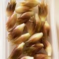 りんはるみゅう's cooksnap of when they made 水で簡単☆シャキシャキみょうがの保存方法.
