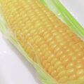 zezzy's cooksnap of when they made レンジで簡単甘くなるトウモロコシの茹で方.
