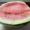 ★なみ☆'s cooksnap of when they made パクパク☆種無しカットスイカの作り方.