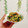 abcd_erika's cooksnap of when they made もやしと胡瓜のさっぱり梅和え.