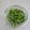 youtapapa's cooksnap of when they made 枝豆のおいしい茹で方.