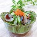 Satoco❋'s cooksnap of when they made 生くらげの酢の物.