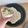粉末．'s cooksnap of when they made 小麦ファイバーブリトー（生地1kcal）.