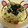 HeppocoRey's cooksnap of when they made 簡単☆トマトとツナの和風冷製パスタ.