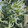 green★★★★★'s cooksnap of when they made もやしとワカメときゅうりのナムル.