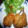 Lemon0790's cooksnap of when they made 手開きでサクサク揚げたて☆旬の鯵フライ♪.