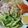 ティラミス265's cooksnap of when they made 重曹でスパゲッティを中華麺に！.