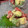 まっきー♪３７'s cooksnap of when they made 店再現☆アボガドトマトのチーズ風味サラダ.