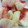 ヒヨコマメ☆'s cooksnap of when they made 桃の切り方.