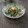 まろんかふぇ's cooksnap of when they made ゴーヤちくわの★柚子胡椒マヨ.