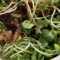 MULA's cooksnap of when they made サバ缶✧ブロッコリースプラウト食べよ✧.