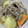 Cony◎'s cooksnap of when they made 和食の定番、つゆだく！関西風、肉じゃが♪.