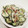 SWEET☆りんご's cooksnap of when they made さっぱり簡単＊胡瓜の梅マヨ和え.