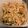 リスパン's cooksnap of when they made 切り干し大根のごまマヨサラダ.